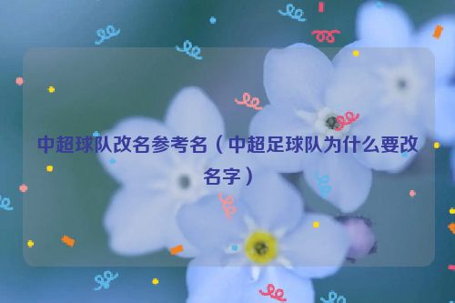 中超球队改名参考名（中超足球队为什么要改名字）