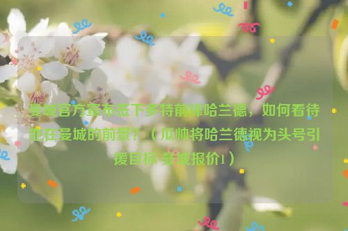 曼城官方宣布签下多特前锋哈兰德，如何看待他在曼城的前景？（瓜帅将哈兰德视为头号引援目标 曼城报价1）