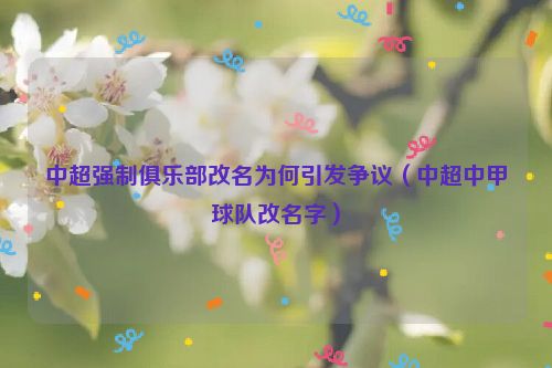 中超强制俱乐部改名为何引发争议（中超中甲球队改名字）